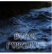 Borac - Pobedices