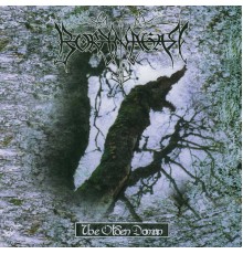 Borknagar - The Olden Domain