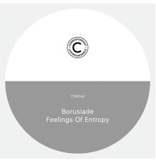 Borusiade - Feelings of Entropy