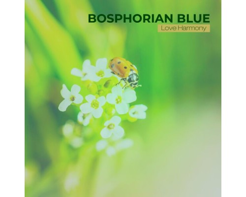 Bosphorian Blue - Love Harmony