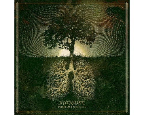 Botanist - Photosynthesis