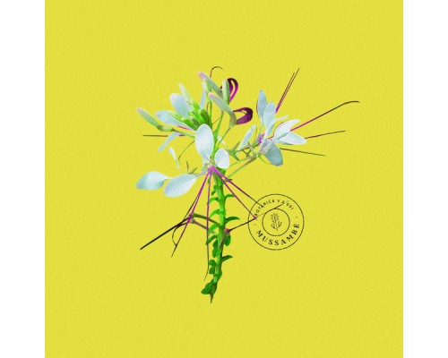 Botânica Beats - Mussambê Botânica Beats - Mussambê