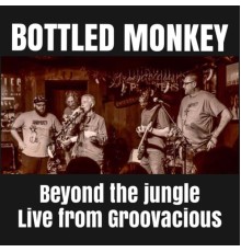 Bottled Monkey - Beyond the Jungle (Live at Groovacious)