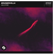 Bougenvilla - Wildfire