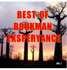 Boukman Eksperyans - Boukman eksperyans  (Vol. 1)