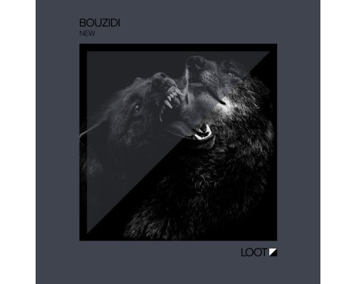 Bouzidi - New