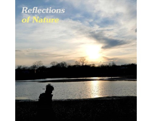 Bowei Z. - Reflections of Nature