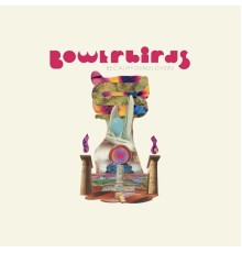 Bowerbirds - becalmyounglovers