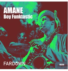 Boy Funktastic - Amane