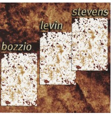 Bozzio Levin Stevens - Situation Dangerous