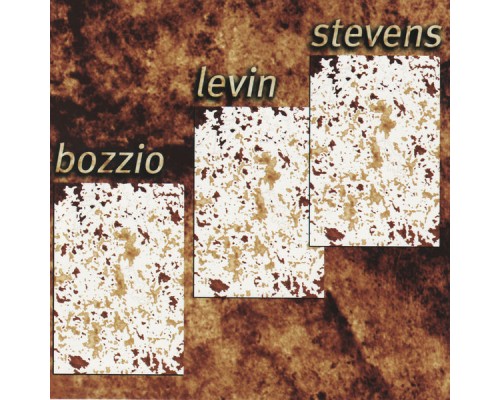 Bozzio Levin Stevens - Situation Dangerous