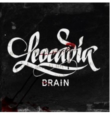 Brain - Leocadia