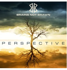 Brains Not Brawn - Perspective