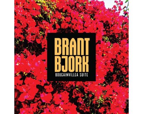 Brant Bjork - Bougainvillea Suite