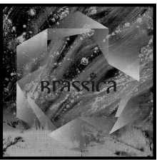 Brassica - Temple Fortune