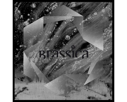 Brassica - Temple Fortune