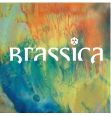 Brassica - Hayat Zor