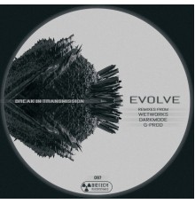 Break In Transmission - Evolve