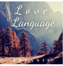 Breanis - Love Language