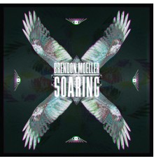 Brendon Moeller - Soaring