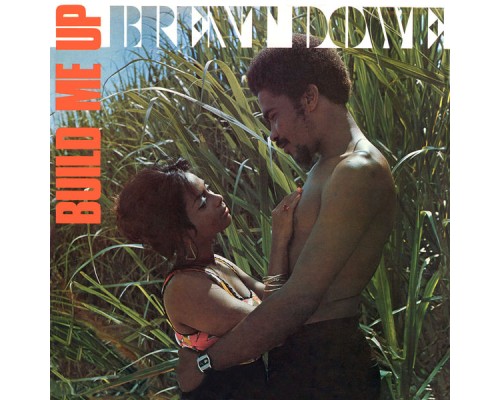 Brent Dowe - Build Me Up