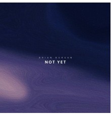 Brian Burgan - Not Yet