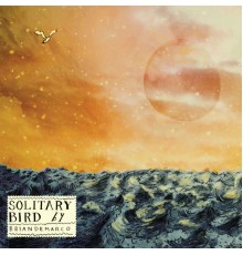 Brian DeMarco - Solitary Bird