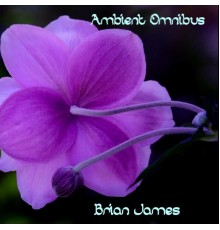 Brian James - Ambient Omnibus