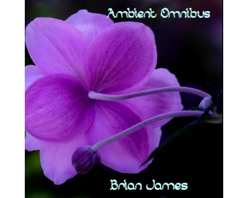 Brian James - Ambient Omnibus