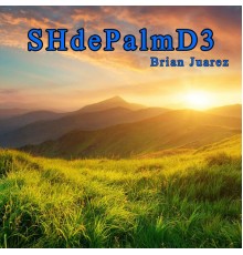 Brian Juarez - SHdePalmD3