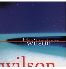 Brian Wilson - Imagination