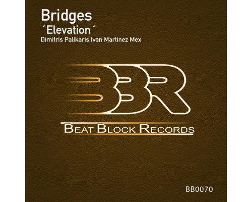 Bridges - Elevation