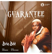 Brin Bee - Guarantee