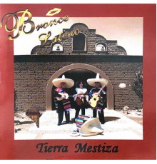 Bronce Latino - Tierra Mestiza