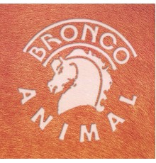 Bronco - Animal