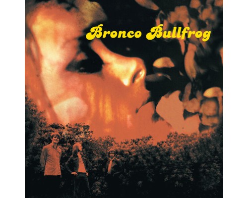 Bronco Bullfrog - Bronco Bullfrog