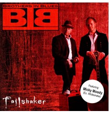 Brothers In Blues - Tailshaker