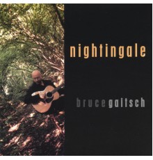 Bruce Gaitsch - Nightingale