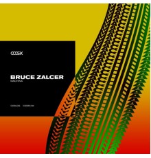 Bruce Zalcer - Machina