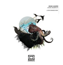 Bruno Aguirre - Natural Arguments