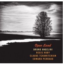 Bruno Angelini - Open Land