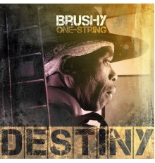 Brushy One String - Destiny