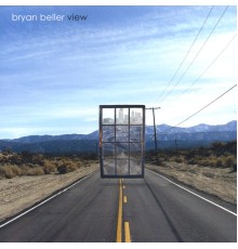 Bryan Beller - View