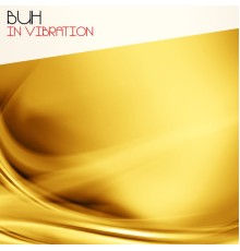 BuH - In Vibration