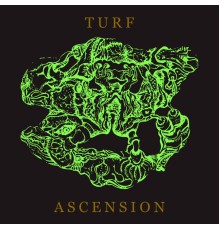 Bubblemath - Turf Ascension