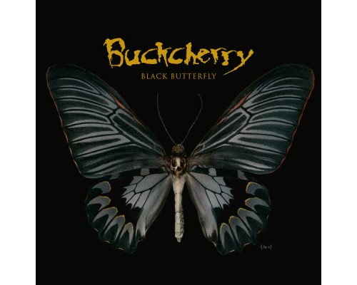 Buckcherry - Black Butterfly