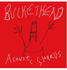 Buckethead - Acoustic Shards