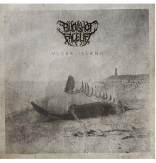 Buckshot Facelift - Ulcer Island