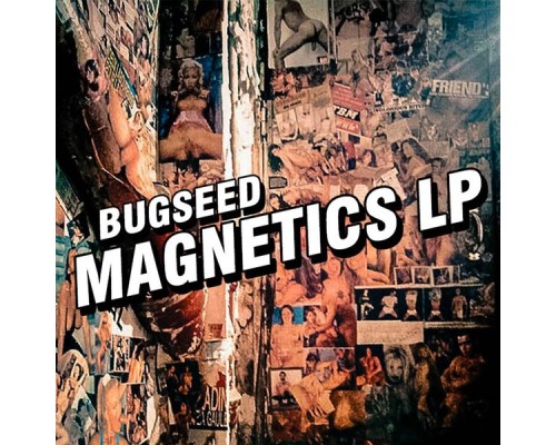 Bugseed - Magnetics