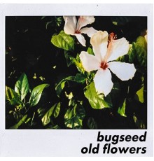 Bugseed - Old Flowers